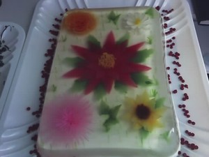 Gelatina 5 en uno-G