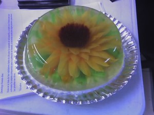 Girasol-CH
